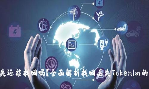 Tokenim遗失还能找回吗？全面解析找回丢失Tokenim的方法与建议