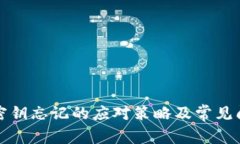 冷钱包密钥忘记的应对策略及常见问题解析