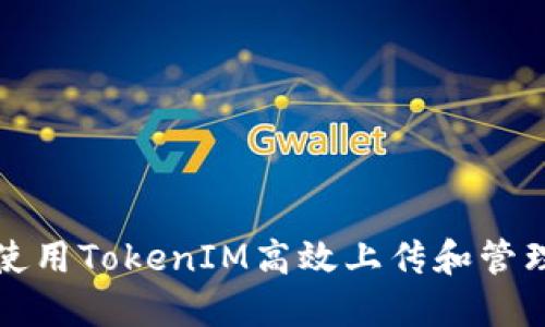 如何使用TokenIM高效上传和管理文件
