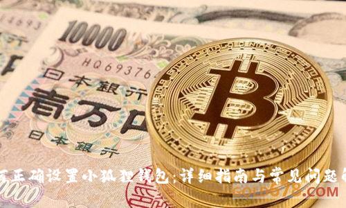 如何正确设置小狐狸钱包：详细指南与常见问题解析