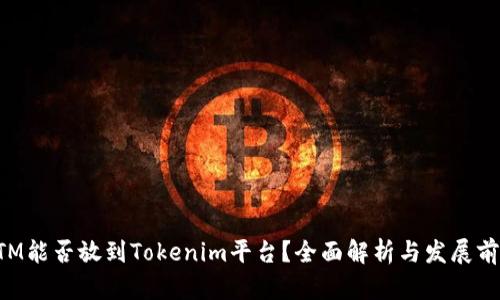 BTM能否放到Tokenim平台？全面解析与发展前景