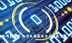 世界三大冷钱包解析：如何选择最适合你的数字