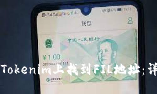 如何在Tokenim上找到FIL地址：详细指南