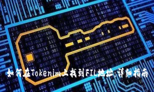 如何在Tokenim上找到FIL地址：详细指南