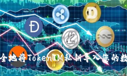 如何安全地将TokenIM私钥导入您的数字钱包