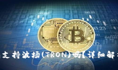 Tokenim钱包支持波场(TRON)吗？详细解析与使用指南