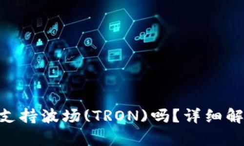 Tokenim钱包支持波场(TRON)吗？详细解析与使用指南