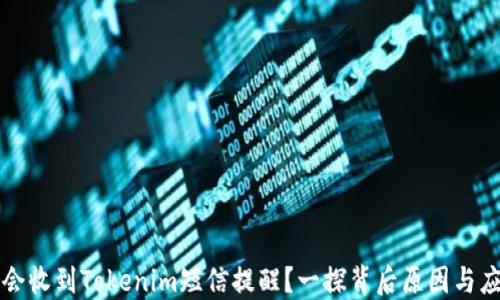 
为什么会收到Tokenim短信提醒？一探背后原因与应用场景
