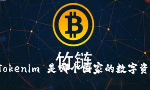 ### Tokenim 是哪个国家的数字资产平台？