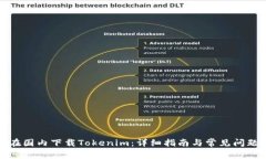 如何在国内下载Tokenim：详细指南与常见问题解答