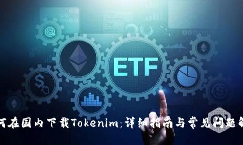 如何在国内下载Tokenim：详细指南与常见问题解答