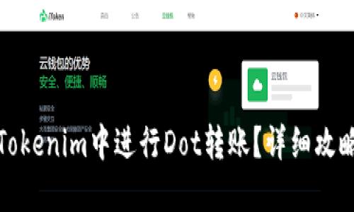 如何在Tokenim中进行Dot转账？详细攻略与解答