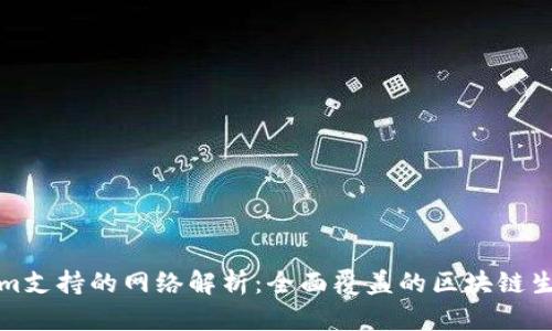 Tokenim支持的网络解析：全面覆盖的区块链生态系统