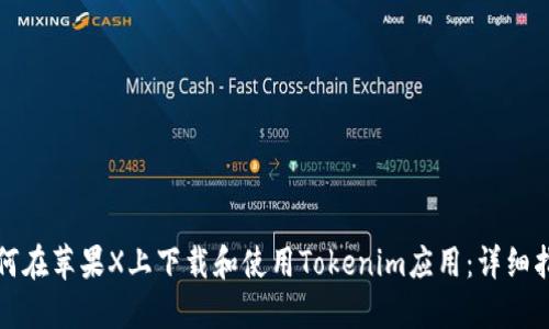 如何在苹果X上下载和使用Tokenim应用：详细指南
