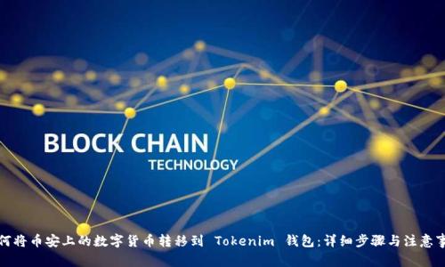如何将币安上的数字货币转移到 Tokenim 钱包：详细步骤与注意事项