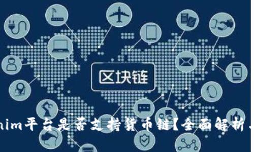 Tokenim平台是否支持货币链？全面解析与解读