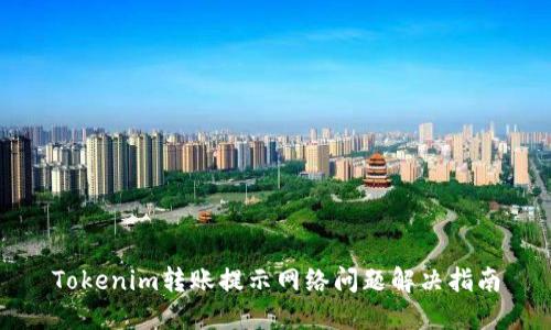 Tokenim转账提示网络问题解决指南