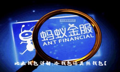 比太钱包详解：冷钱包还是热钱包？