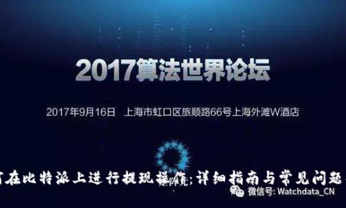 如何在比特派上进行提现操作：详细指南与常见问题解答