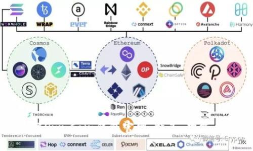 深入了解OwnCoin钱包官网：特色、功能与安全性