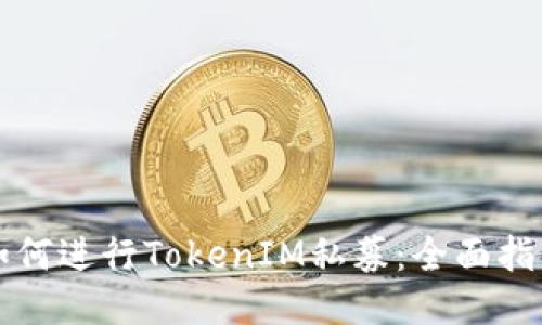 如何进行TokenIM私募：全面指南