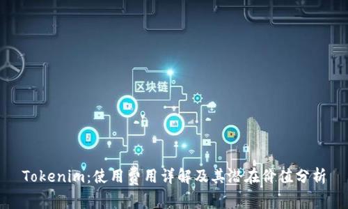 Tokenim：使用费用详解及其潜在价值分析