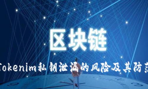 了解Tokenim私钥泄漏的风险及其防范措施