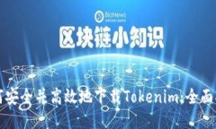 如何安全并高效地下载T