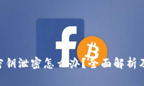 tokenim密钥泄密怎么办？全面解析及解决方案