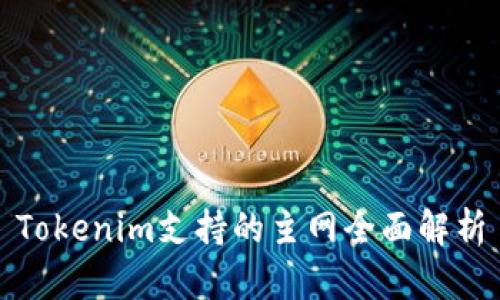 Tokenim支持的主网全面解析