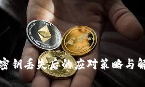 冷钱包密钥丢失后的应对策略与解决方案