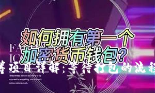 Tokenim众筹项目详解：等待打包的流程与注意事项