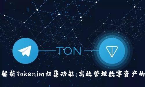 深入解析Tokenim归集功能：高效管理数字资产的利器