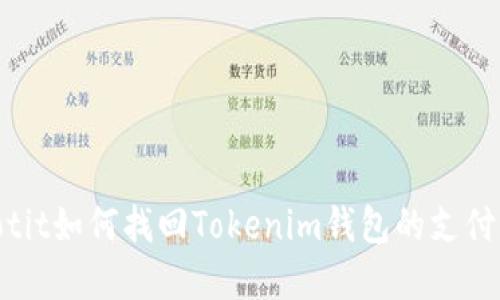 bolaotit如何找回Tokenim钱包的支付密码？