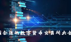 2023年中国合法的数字货币