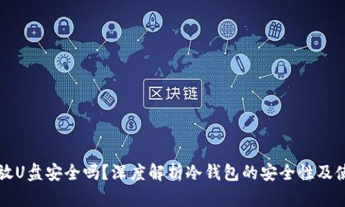 冷钱包放U盘安全吗？深度解析冷钱包的安全性及使用方法