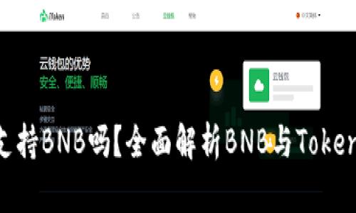 Tokenim支持BNB吗？全面解析BNB与Tokenim的关系