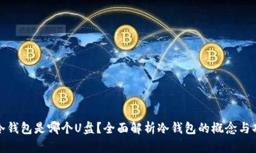 : 冷钱包是哪个U盘？全面解析冷钱包的概念与功能
