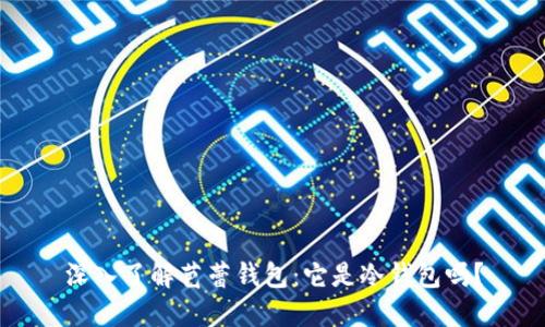 深入了解芭蕾钱包：它是冷钱包吗？
