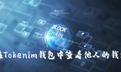 如何在Tokenim钱包中查看他人的钱包信息