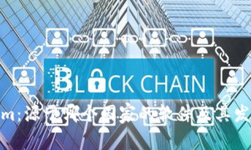 Tokenim：源于哪个国家的软件及其发展概况