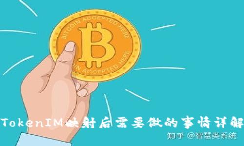 TokenIM映射后需要做的事情详解