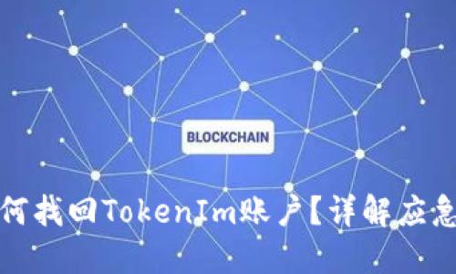 : 手机丢失后如何找回TokenIm账户？详解应急措施和安全指南