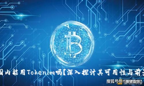 国内能用Tokenim吗？深入探讨其可用性与前景