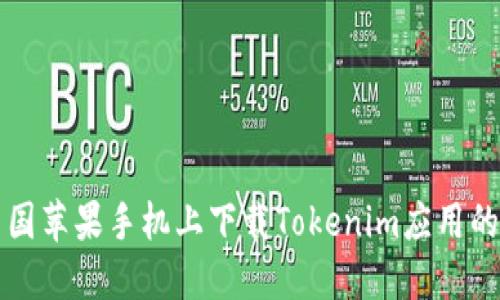 如何在中国苹果手机上下载Tokenim应用的详细指南