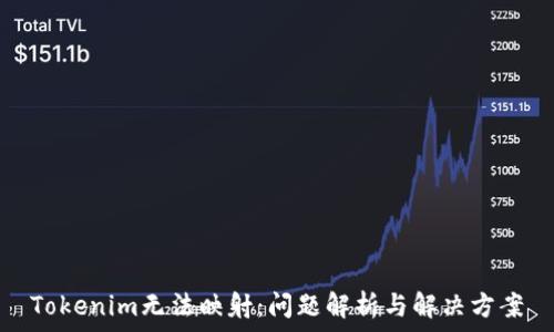   
Tokenim无法映射：问题解析与解决方案