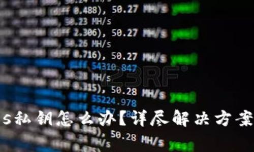 忘记Tokenimeos私钥怎么办？详尽解决方案与常见问题解析