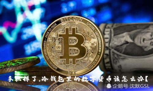 手机掉了，冷钱包里的数字货币该怎么办？