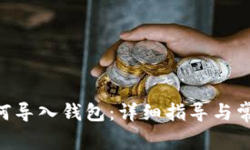 Tokenim如何导入钱包：详细指导与常见问题解答