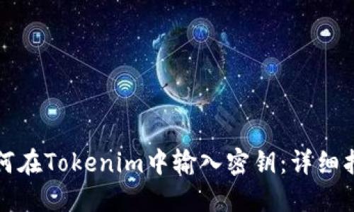 如何在Tokenim中输入密钥：详细指南